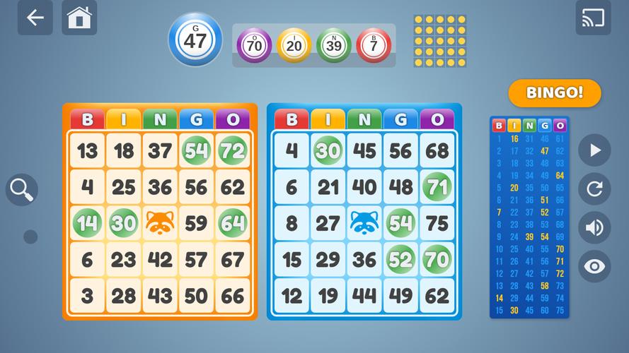 Bingo Set Captura de tela 0