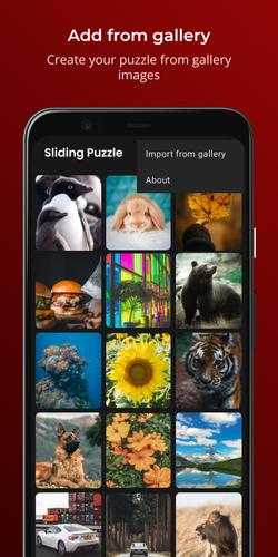Sliding Puzzle Ekran Görüntüsü 3