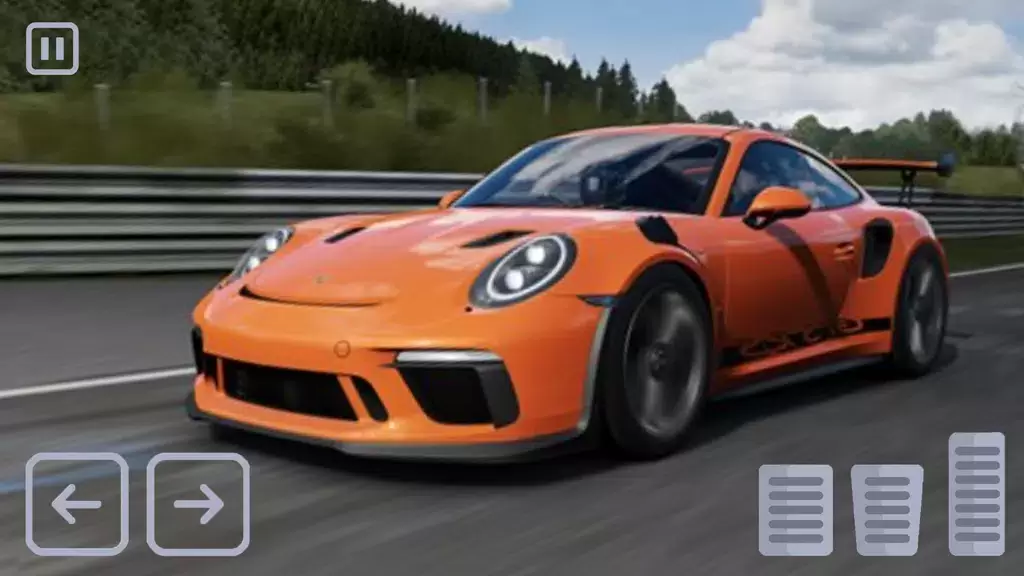 Racing Porsche Carrera 911 GT3 Captura de tela 0