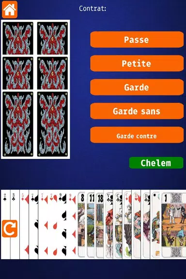 Net.Tarot スクリーンショット 1