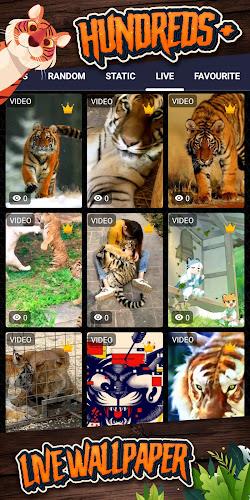 tiger background Ảnh chụp màn hình 2