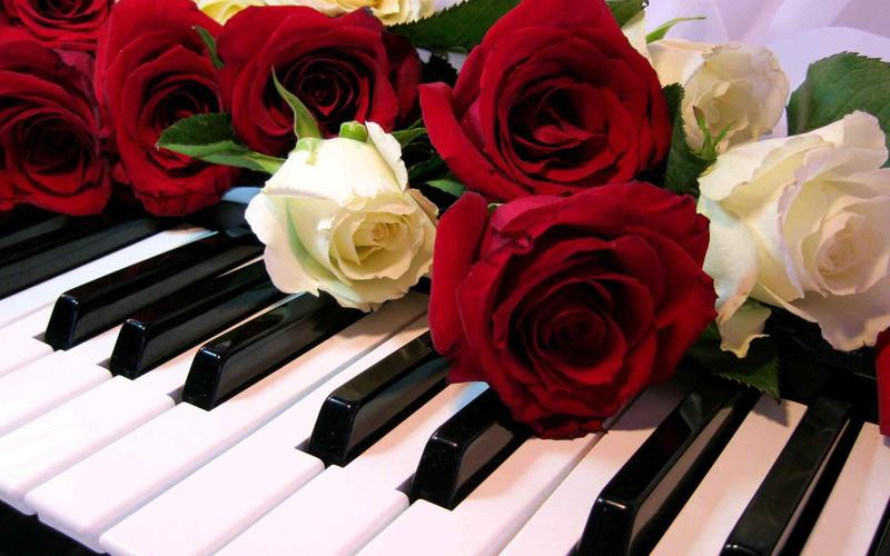 Roses Jigsaw Puzzles Captura de pantalla 0
