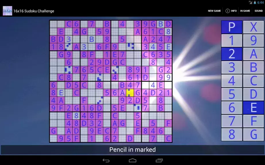 16x16 Sudoku Challenge HD應用截圖第2張