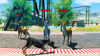 Doberman Dog Simulator Ảnh chụp màn hình 1