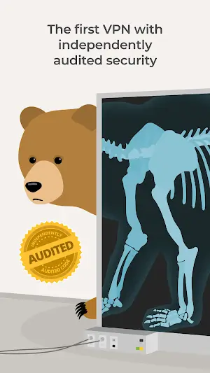 TunnelBear VPN Ekran Görüntüsü 3