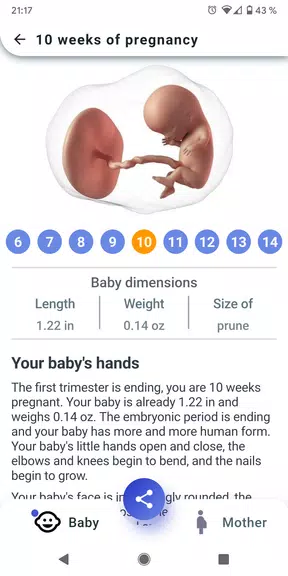 My Pregnancy - Week by Week Zrzut ekranu 1