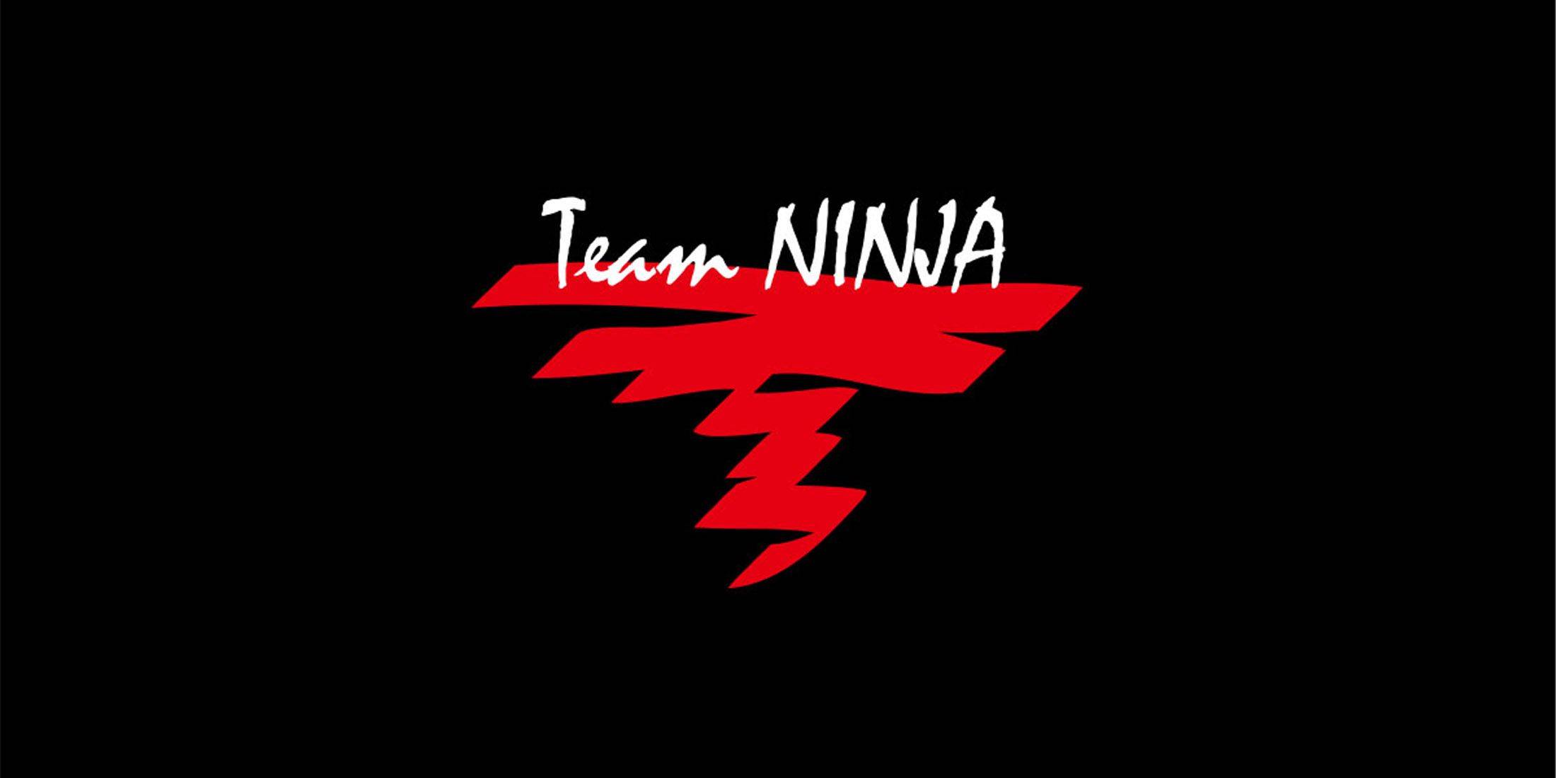 Team Ninja provoca planos para o 30º aniversário