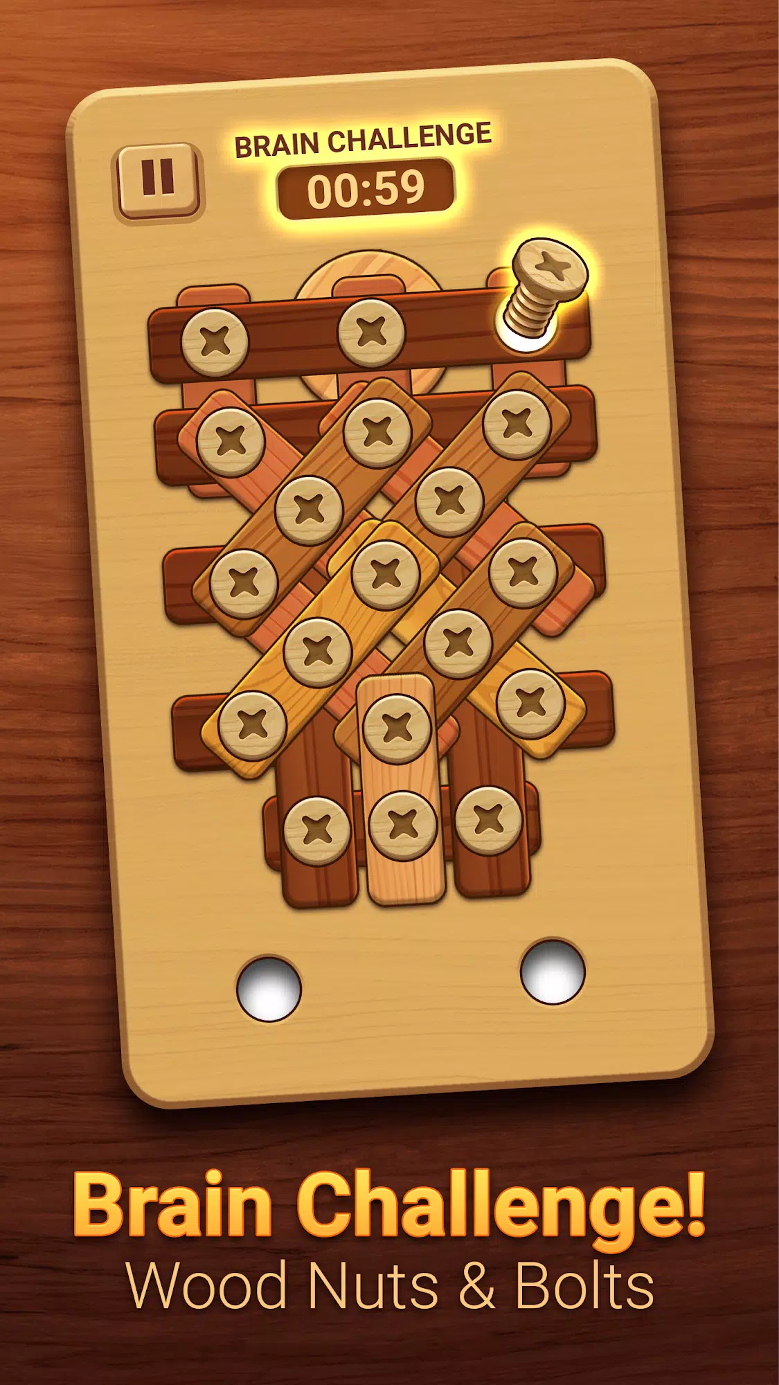 Woodle - Wood Screw Puzzle Capture d'écran 2