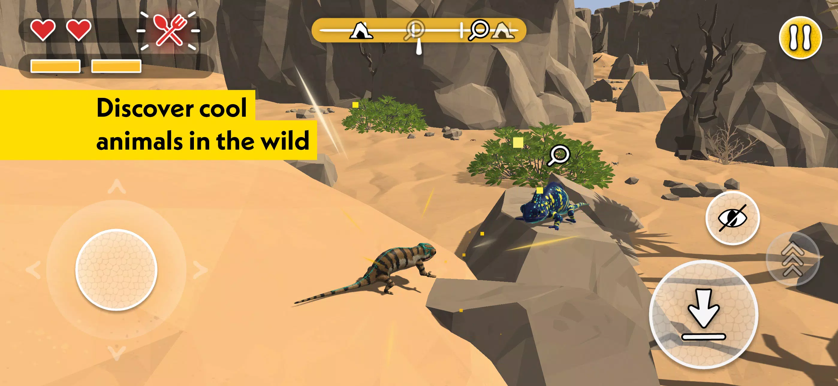 PLANET WOW Wildlife Adventure Screenshot 3