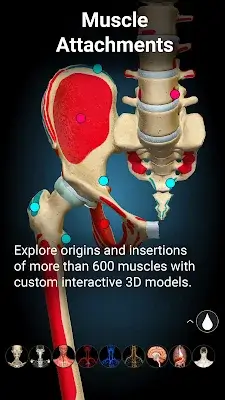 Anatomy Learning - 3D Anatomy Ảnh chụp màn hình 3