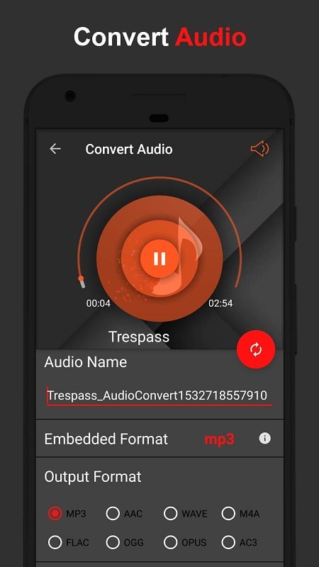 AudioLab Schermafbeelding 2