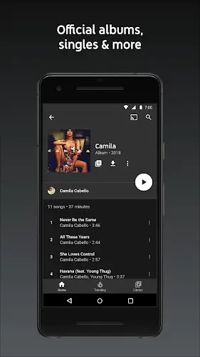 YouTube Music ReVanced ภาพหน้าจอ 0