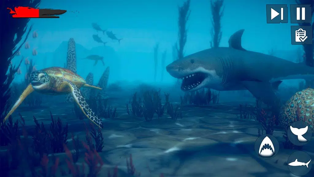 Real Survival Angry Shark Game Captura de pantalla 3