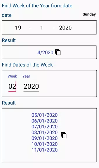 Age Calculator Captura de tela 2