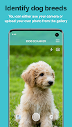 Dog Scanner: Raza del perro Captura de pantalla 0