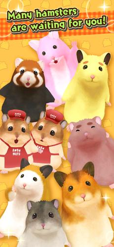 Hamster Valley Captura de tela 3