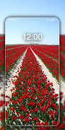 Rose Wallpaper Live HD ภาพหน้าจอ 3