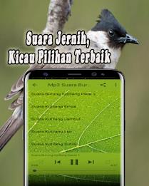 Suara Burung Kutilang Offline Tangkapan skrin 3