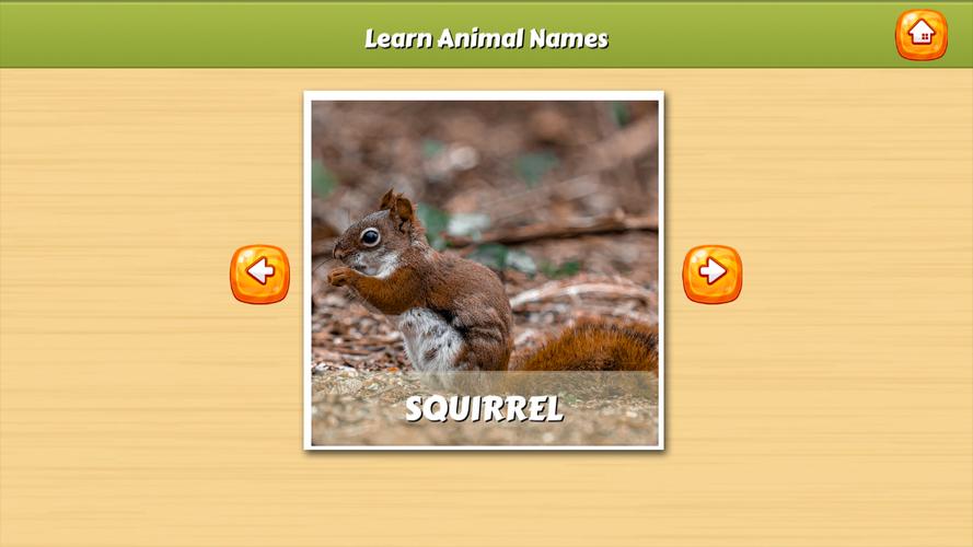 Learn Animal Names ภาพหน้าจอ 0