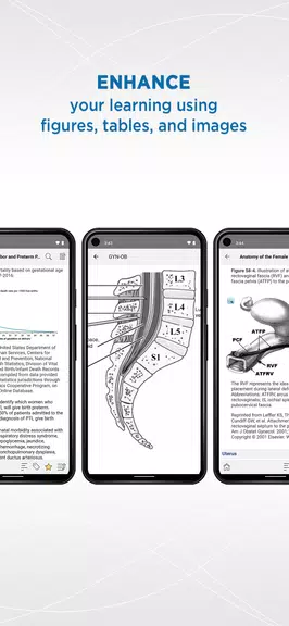 Gynecology and Obstetrics Screenshot 1