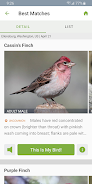 Merlin Bird ID by Cornell Lab 스크린샷 1