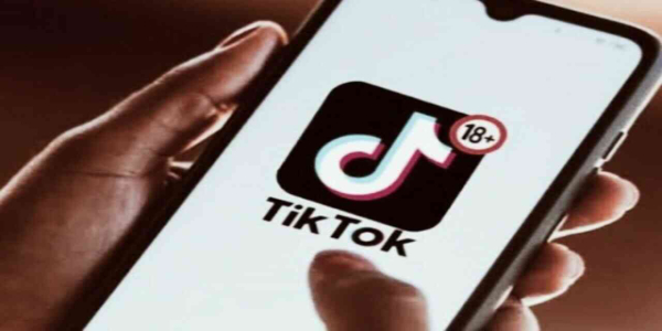 Guia TikTok 18