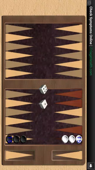 BACKGAMMON 31 - طاولة زهر نرد Schermafbeelding 3