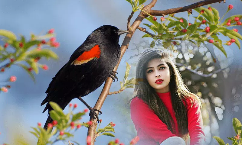Birds Photo frame : Bird photo Ekran Görüntüsü 3