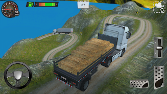 Schermata Truck Driver Offroad 4x4 0