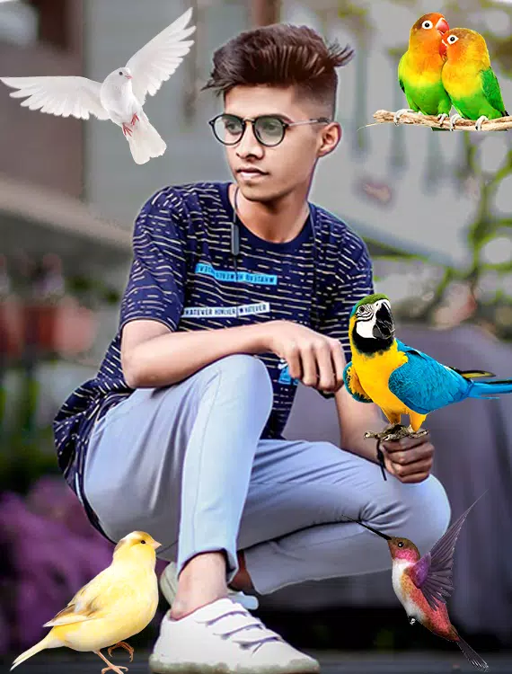 Birds Photo frame : Bird photo Ekran Görüntüsü 2