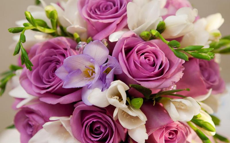 Roses Jigsaw Puzzles Captura de pantalla 1