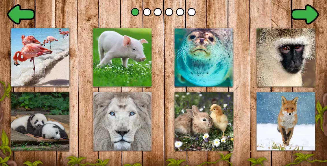 Animal puzzle games offline Screenshot 1