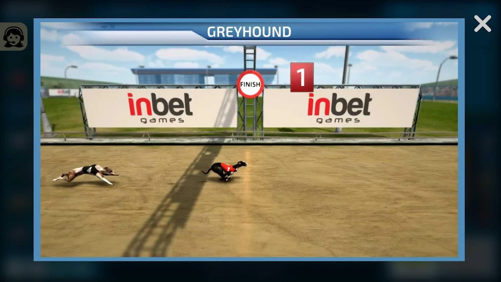 Dogs3D Races Betting Capture d'écran 3