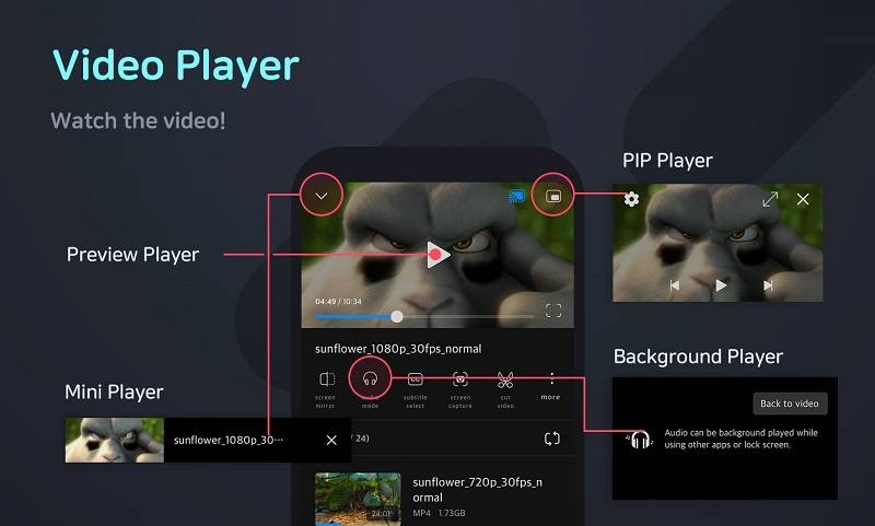 FX Player Ảnh chụp màn hình 2