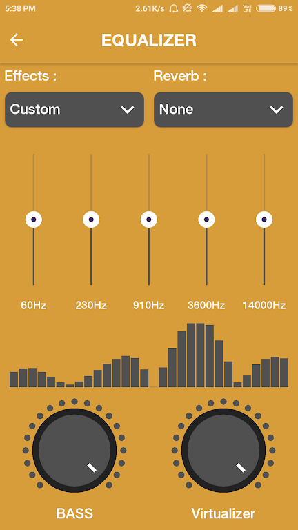 Schermata Roar Music Player 1