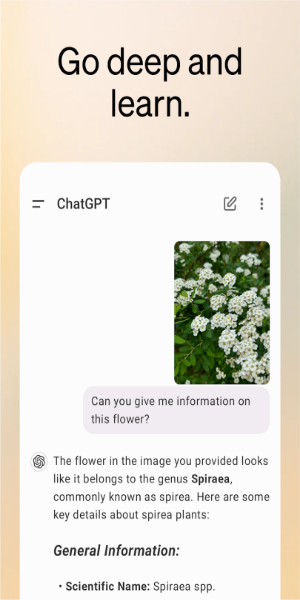 ChatGPT应用截图第2张