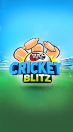 WCC Cricket Blitz Ekran Görüntüsü 0