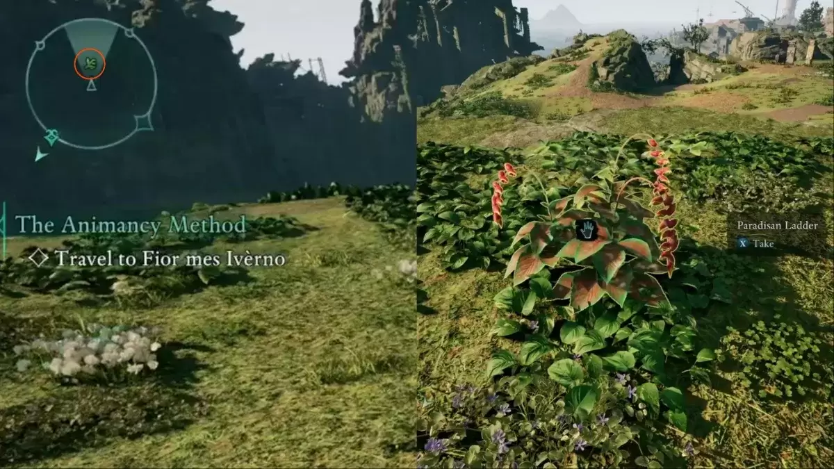 Avowed gameplay showing Paradisan Ladder location on the mini-map