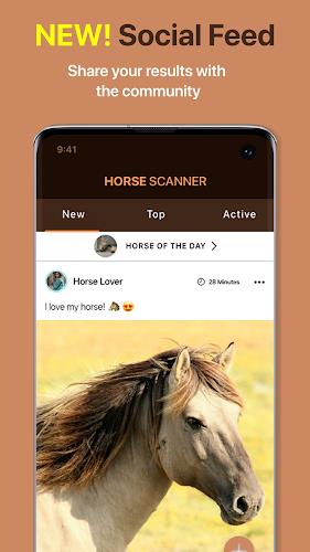 Horse Scanner 스크린샷 3