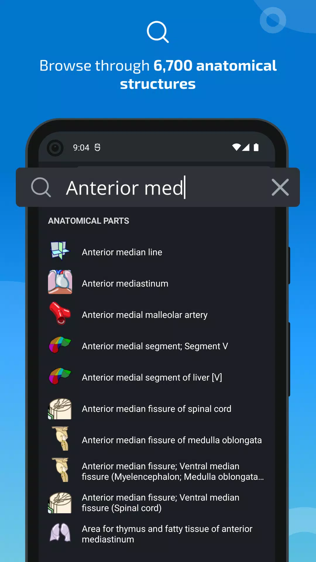 e-Anatomy應用截圖第2張