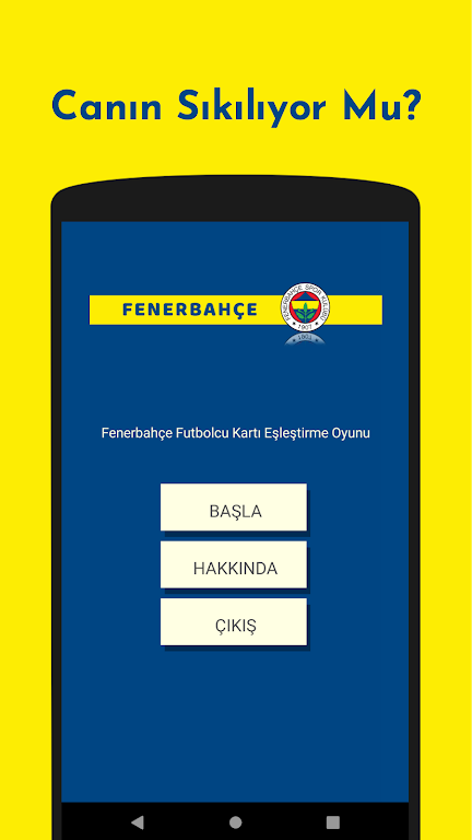 Fenerbahçe Futbolcu Kart Eşleştirme Oyunu 스크린샷 0