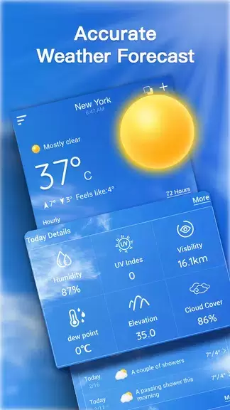 Live Weather Forecast Скриншот 0