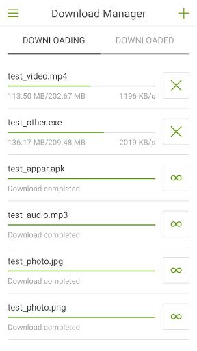 Download Manager For Android应用截图第3张