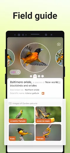 Picture Bird - Bird Identifier Screenshot 1