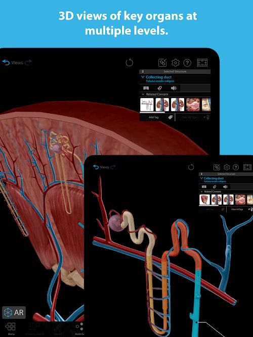 Human Anatomy Atlas 2023 Tangkapan skrin 2