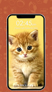 Kitty Cat Pin Lock Screen Tangkapan skrin 0