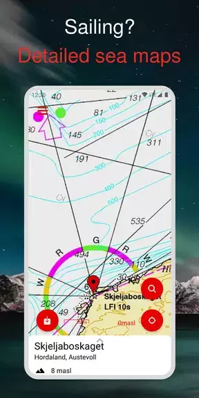 Schermata Norgeskart 1