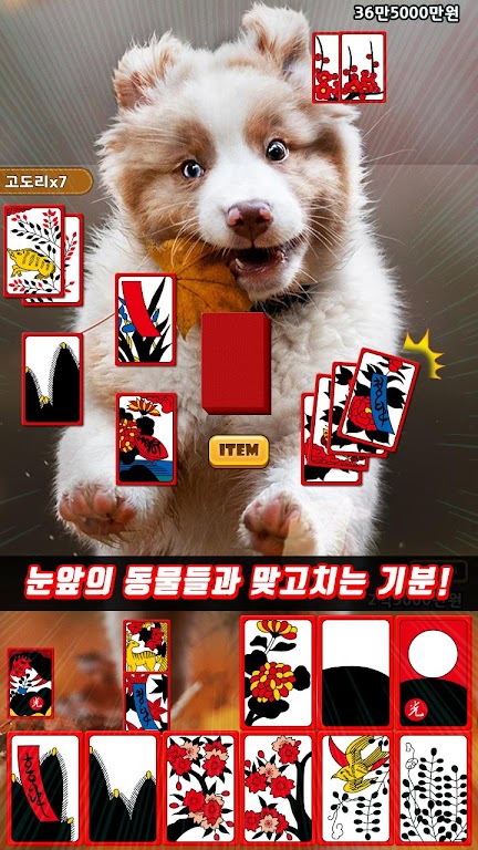 Schermata 애니멀 맞고 - 동물 팻 고스톱 1