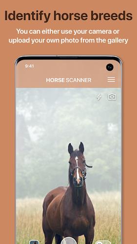 Horse Scanner應用截圖第0張