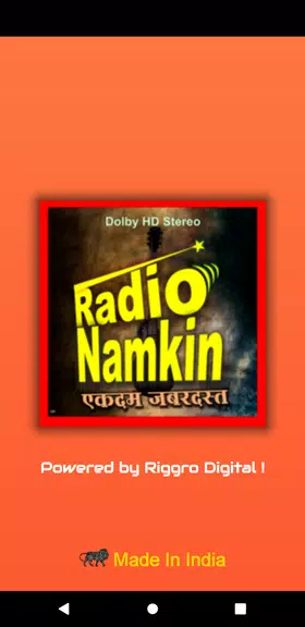 Radio Namkeen- FM Radio Online Zrzut ekranu 0